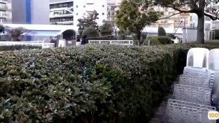 Babes - Surprise Striptease